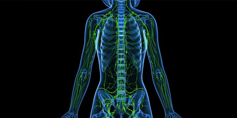 Sentinel Lymph Node Biopsy Skin Cancer And Reconstructive Surgery Center